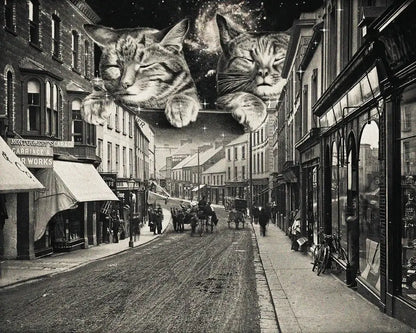Cool Cats