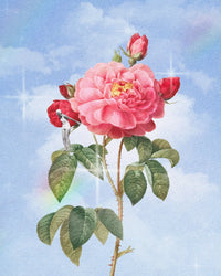 Dante’s Rose