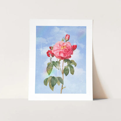 Dante’s Rose