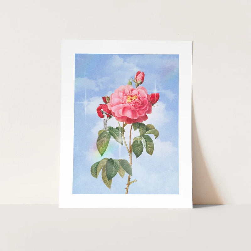 Dante’s Rose